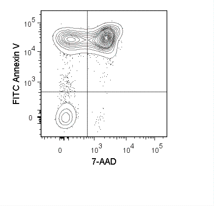 fitc-av1.png